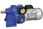 Combination of UD(L) Speed Variator & gear reducer