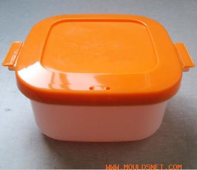 Lunch box mould